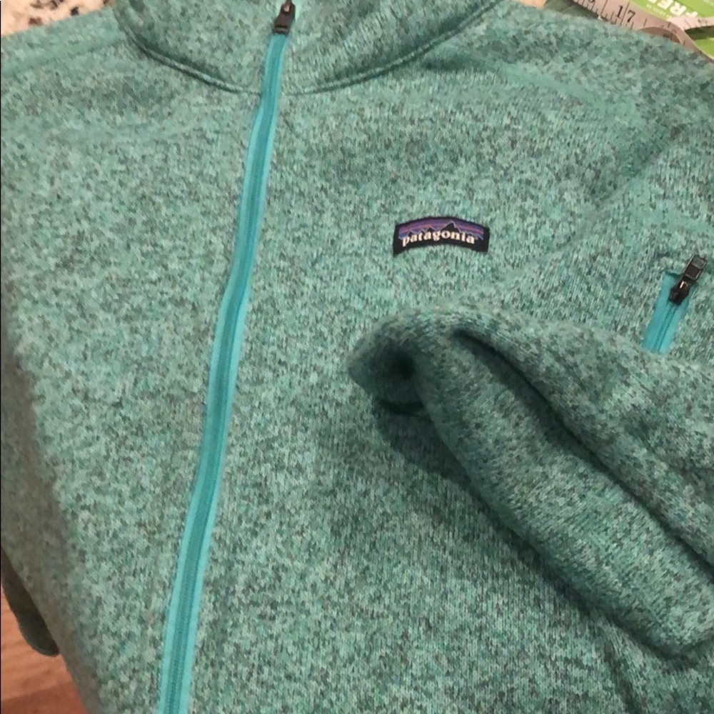 Blue Patagonia Fleece Jacket